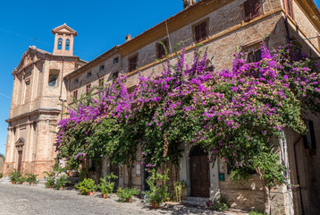 Plakat HIstorical center of Corinaldo with stone houses, chucrh, steps and flowers