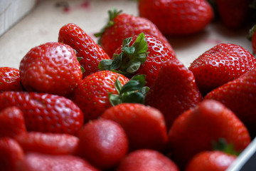 Der Garten. Die Blüme. Strawberry.