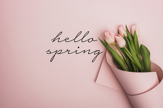 Hello Spring Images – Browse 92,522 Stock Photos, Vectors, and Video |  Adobe Stock