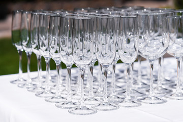 Set of blank empty wine glasses displayed in rows. Preparation for the holiday.