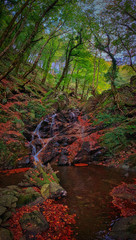 A stream in the Aspromonte national park, which forms the Scherni waterfall, in the territory of Piminoro.