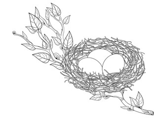 Outline spring tree branch with bird nest and eggs in black isolated on white background.