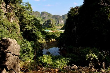 Amazing view of rice fields at Tam Coc, Vietnam