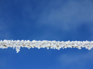 Rope covered with hoarfrost against the clear blue sky.
