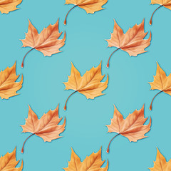 Fallen autumn leaves seamless pattern