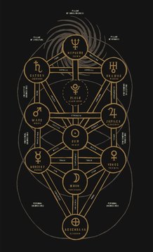 Sephirotic tree of life detailed. Kabbalah occult symbol. Vintage vector illustration.