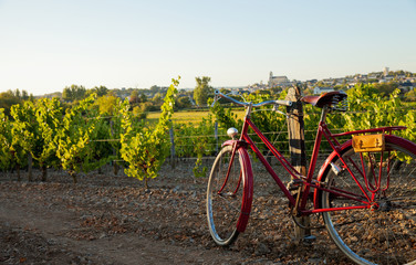 Paysage de vigne en Anjou et vélo vintage rouge.