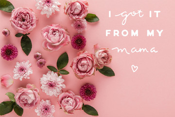 top view of blooming spring flowers on pink background, i got it from my mama illustration