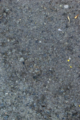 Grey old surface of asphalt and concrete wall