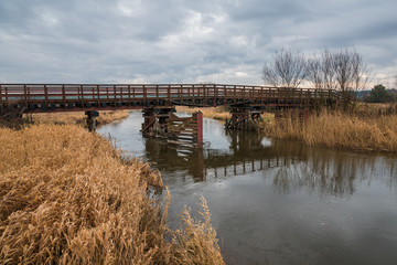 Wooden bridge over the Pilica river near Przedborz, Lodzkie, Poland