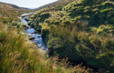 Fototapeta na wymiar A small stream near the summit of the Hill of Stake, Renfrewshire, Scotland, UK