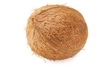 single coconut isolated on a white background