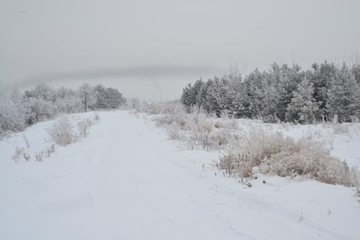Winter landscape with frozen trees and snow