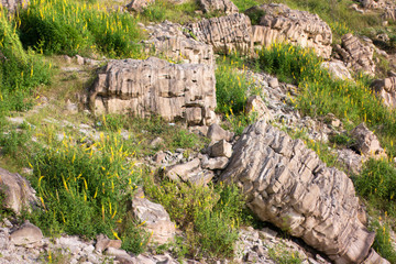 Beautiful rocks landscape view with flowers and green grass