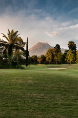 Beautiful natural scenery of trees and large mountain