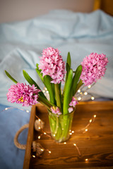 Beautiful pink hyacinths stand in a vase on an old wooden tray, garland, beautiful flickering