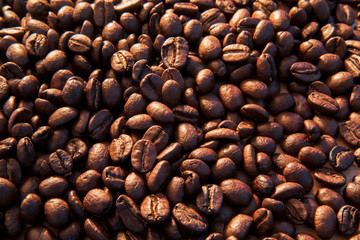 coffee beans in morning light close-up 