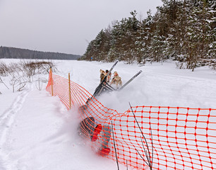 A dog sled on a steep descent in the competition crashed into the fence. - 328564385