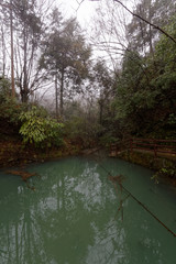 "Góry Awatarowe" w Chinach - Trekking w deszczu © Miroslaw