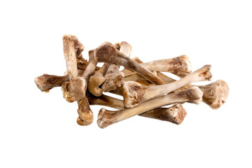 bone isolated on white background