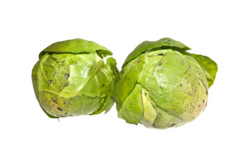 Fototapeta premium cabbage isolated on white background