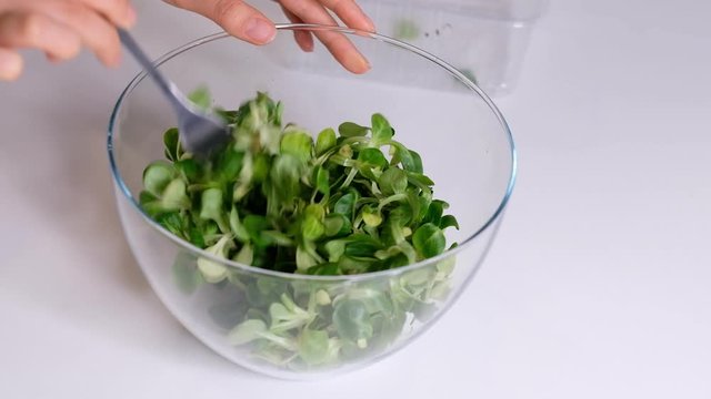 Food background: cornsalad lamb lettuce leaves. Slow Motion video. Close up