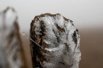 Close-up of frost on a pole