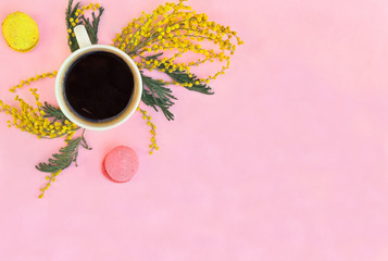 Cup coffee, twigs with yellow flowers mimosa and colorful macaron cookie on a pink background with space for text. Spring decoration, composition. Top view, flat lay