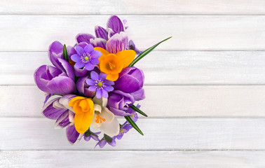 Bouquet of violet, yellow, white crocuses  and flowers hepatica ( liverleaf or liverwort ) on background of white painted wooden planks with space for text. Top view, flat lay. Spring decoration