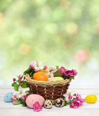 Easter decoration. Flowers apple tree, colored easter eggs and quail eggs in the basket on white plank table on blur nature background with space for text