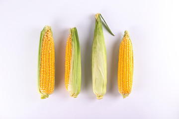 Cobs of ripe raw corn, isolated on white. Healthy summer food concept. Fresh uncooked corncob. Clean eating habits. Background, top view, close up, flat lay, copy space.