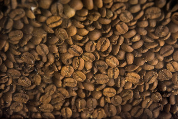 Coffee Beans