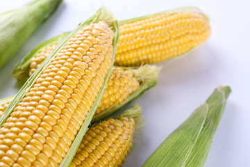 Cobs of ripe raw corn, isolated on white. Healthy summer food concept. Fresh uncooked corncob. Clean eating habits. Background, top view, close up, flat lay, copy space.