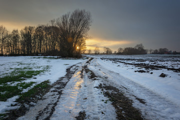 Obraz premium Icy dirt road through fields, sunset behind trees and dark cloud on the sky
