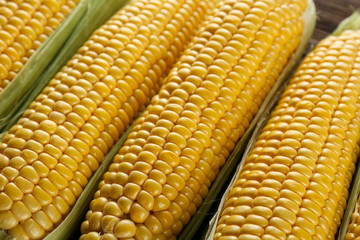 Cropped macro shot of ripe uncooked corncobs. Yellow corn cob seeds pattern. Clean eating habits concept. Background, top view, close up, flat lay, copy space.