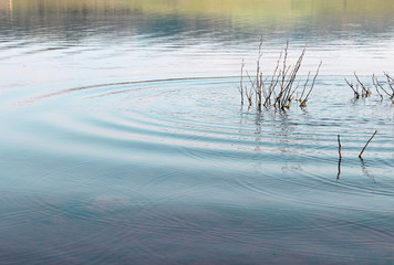 Photo detail of lake zone