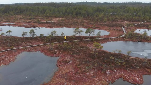 Mukri Raba Bog Marshland in Estonia wilderness during winter