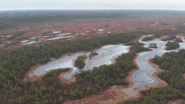 Mukri Raba Bog Marshland in Estonia wilderness during winter