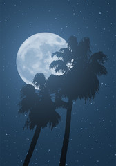 nice moon and palms © RATOCA