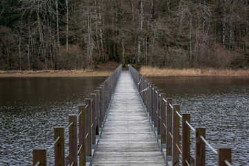 Fototapeta premium Close up of a bridge over a lake. Adventure bridge. Adventure in the countryside
