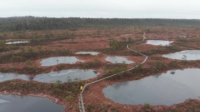Mukri Raba Bog Marshland in Estonia wilderness during winter