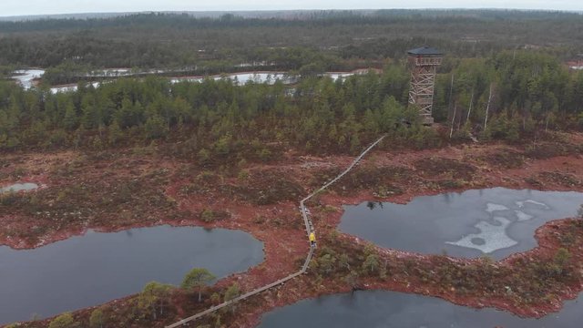 Mukri Raba Bog Marshland in Estonia wilderness during winter