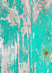 Abstract background from peeling paints of turquoise color on wooden plank