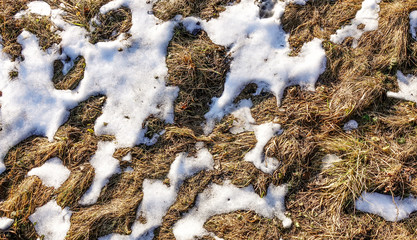 The snow is almost gone. Through the thaw of snow dry grass is visible. Early spring