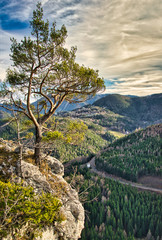 Landschaft,Natur,Baum,Berg,schön,Landschaftsidylle