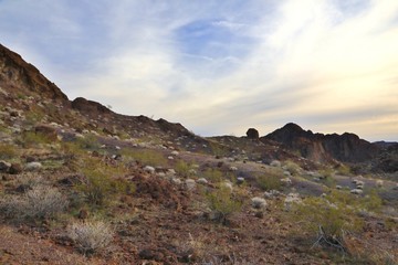 Arid desert landscape at daytime