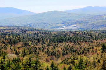 Pretty Landscape with valley