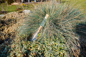 Message in the bottle