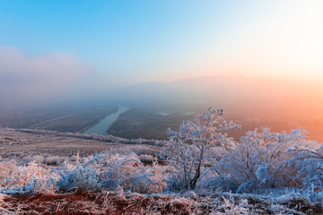 Winter rime on the trees landscape