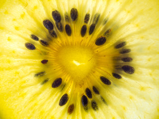 back lit yellow kiwi slice abstract texture